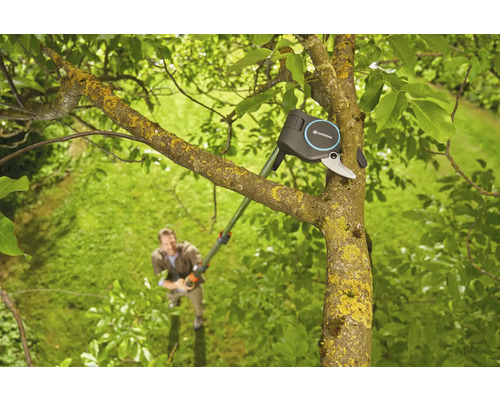 Een Gardena takkenschaar in gebruik op een boom, met een persoon op de achtergrond.