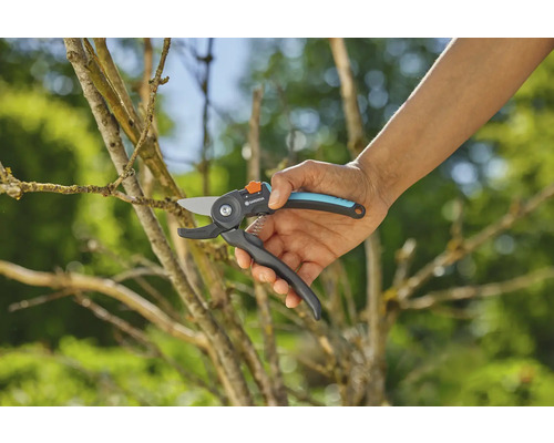 Tuinschaar in gebruik bij het snoeien van een tak