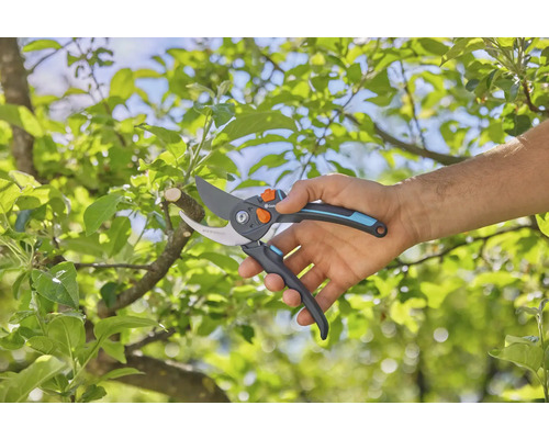 Tuinschaar in gebruik op een boom