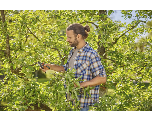 Man snoeit boom met een tuinschaar