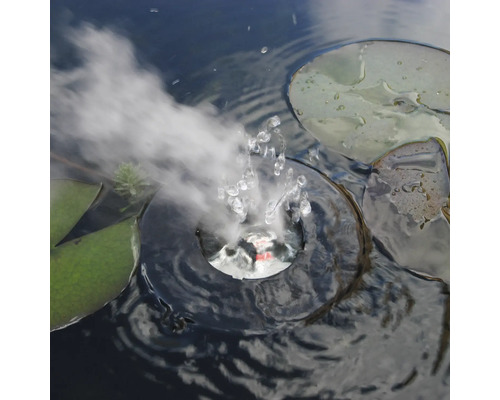 Mistmaker met waterleliebladeren in de vijver