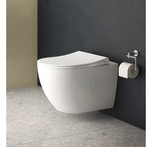 Wandcloset met toiletpapierhouder in badkamer.