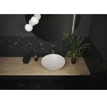 Badkamer met opzetwastafel, spiegel, kraan en plant op een houten plank.