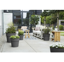 Terras met planten in bloempotten en buitenzitplaatsen.