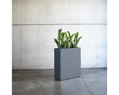 Rechthoekige plantenbak met plant voor een muur