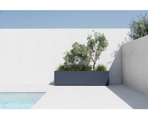 Rechthoekige plantenbak met olijfboom en siergras buiten