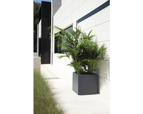 Vierkante plantenbak met groene plant voor een gevel