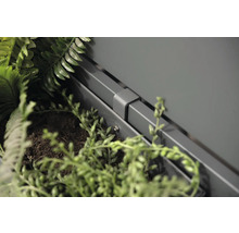 Detailopname van een grijze plantenbak met planten
