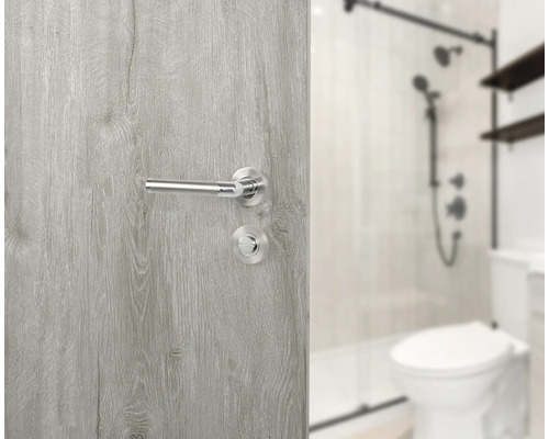 Badkamerdeur met deurbeslag en toiletvergrendeling