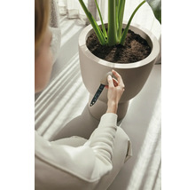 Vrouw meet de bodemvochtigheid in een bloempot met een vochtmeter.