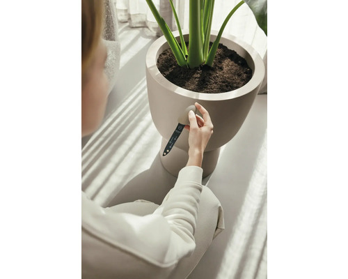 Vrouw meet de bodemvochtigheid in een bloempot met een vochtmeter.