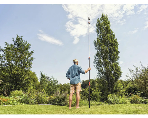 Man gebruikt een telescopische stokzaag in de tuin voor boomverzorging