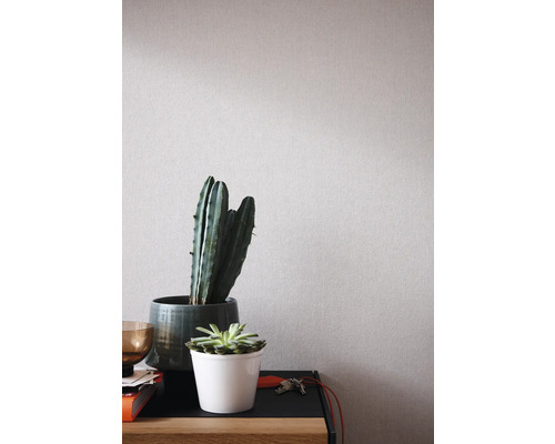 Decoratieve kamerplanten in potten op een tafel