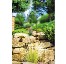 Tuinaanzicht met metalen plantensteun