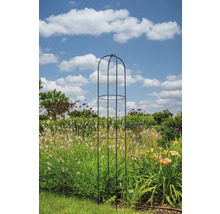 Metalen plantensteun in een tuin met bloemen en blauwe lucht