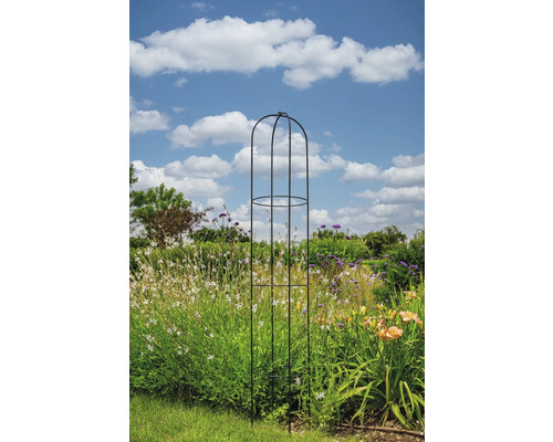 Metalen plantensteun in een tuin met bloemen en blauwe lucht