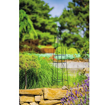 Metalen obelisk plantensteun in tuin