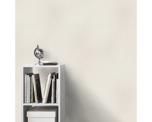 Witte boekenplank met boeken, een wereldbol en een doos