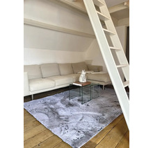 Woonkamer met bank, salontafel, ladder en grijs tapijt