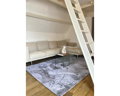 Woonkamer met bank, salontafel, ladder en grijs tapijt