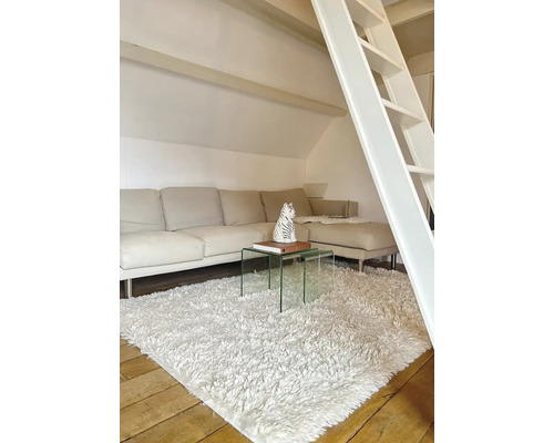 Lichte woonkamer met bank, glazen salontafel en een hoogpolig tapijt.