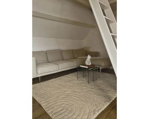 Woonkamer met bank, vloerkleed en bijzettafels in een zolderappartement.