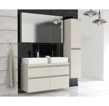 Badkamer met wastafelonderkast, twee wastafels, spiegelkast en hoge kast
