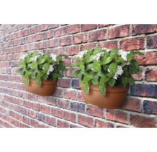Twee wandbloempotten met planten en witte bloemen aan een bakstenen muur