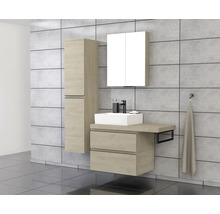 Badkamer met wastafel, spiegelkast en hoge kast