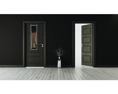 Interieur met twee deuren, een spiegel om op te hangen en een bloemenvaas