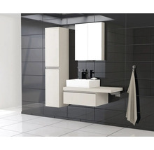 Moderne badkamer met wastafel, spiegelkast en hoge kast tegen een donkere tegelachtergrond