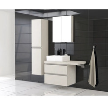 Moderne badkamer met wastafel, spiegelkast en hoge kast tegen een donkere tegelachtergrond.
