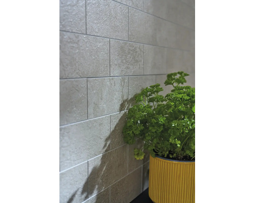 Wandtegels met steenlook en kruidenpot