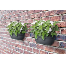Twee antracietkleurige wandbloembakken met witte bloemen en groene bladeren aan een bakstenen muur.