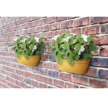 Twee bloembakken met groene planten en witte bloemen hangen aan een bakstenen muur.