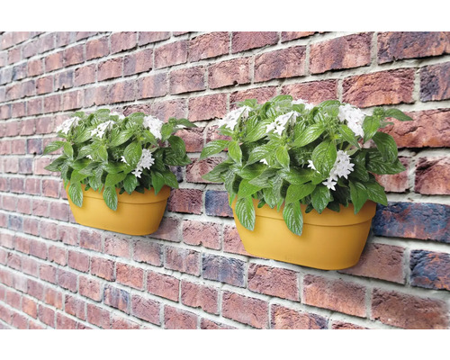 Twee bloembakken met groene planten en witte bloemen hangen aan een bakstenen muur.