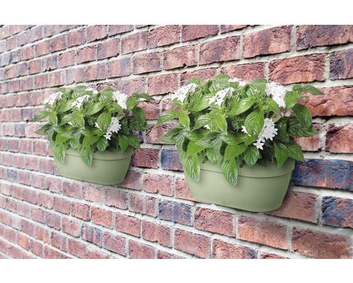 Twee wandbloembakken met witte bloemen en groene bladeren aan een bakstenen muur