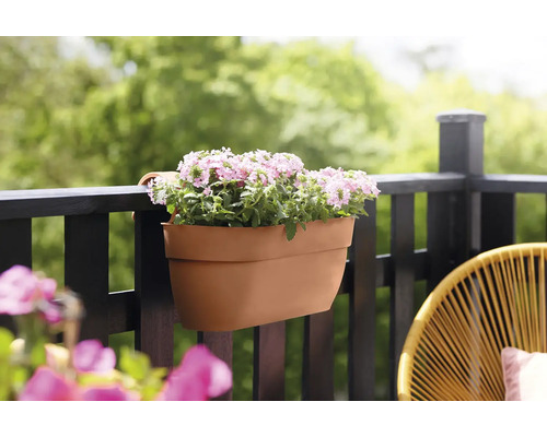 Balkonbak met bloemen op een balkonreling