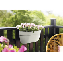 Bloembak met lila bloemen op een balkon