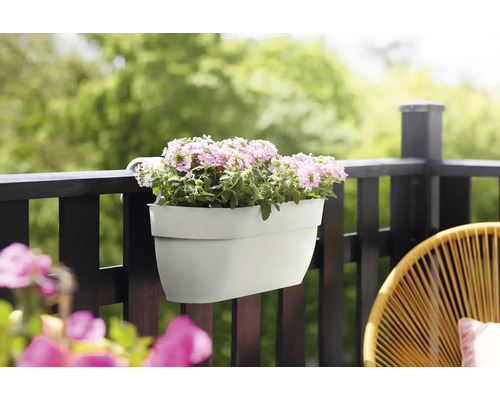 Bloembak met lila bloemen op een balkon