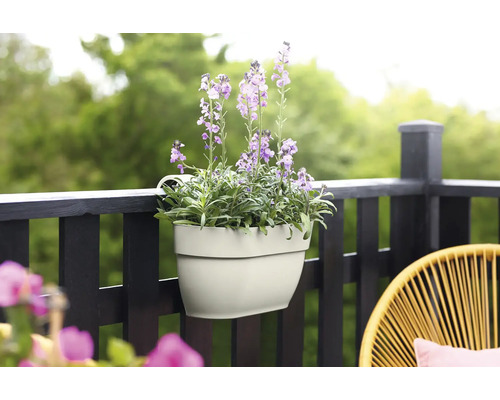 Bloembak met paarse bloemen op een balkonreling
