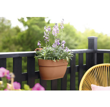 Kunststof plantenbak met lavendel op een balkon