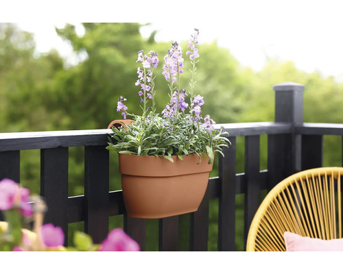 Kunststof plantenbak met lavendel op een balkon
