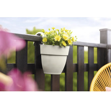 Gele bloemen in een balkonbak, bevestigd aan een donker houten balkon.