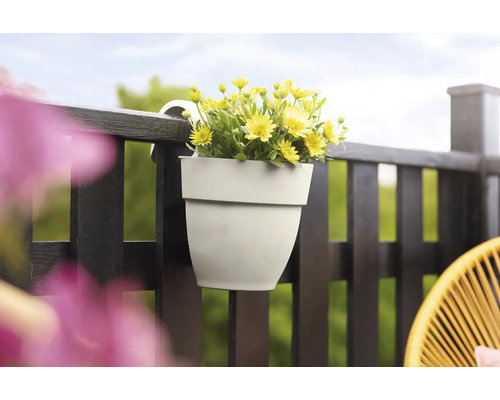 Gele bloemen in een balkonbak, bevestigd aan een donker houten balkon.