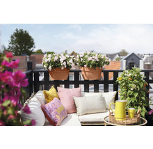Balkonscène met terracotta potten, kussens en planten voor een gezellige sfeer