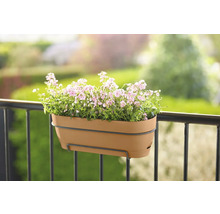 Balkonbak met bloemen op het balkon