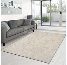 Woonkamer met grijze bank en beige tapijt