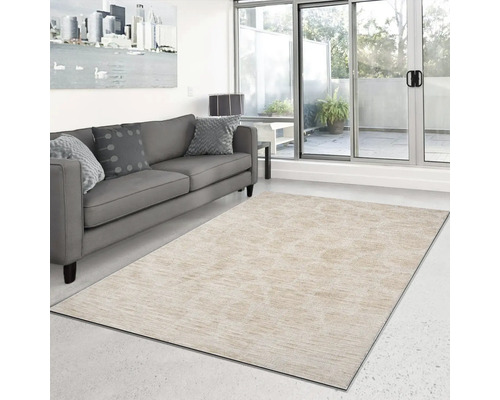 Woonkamer met grijze bank en beige tapijt