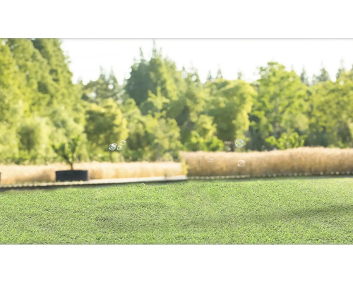 Groen gazon in de tuin met bomen en zeepbellen